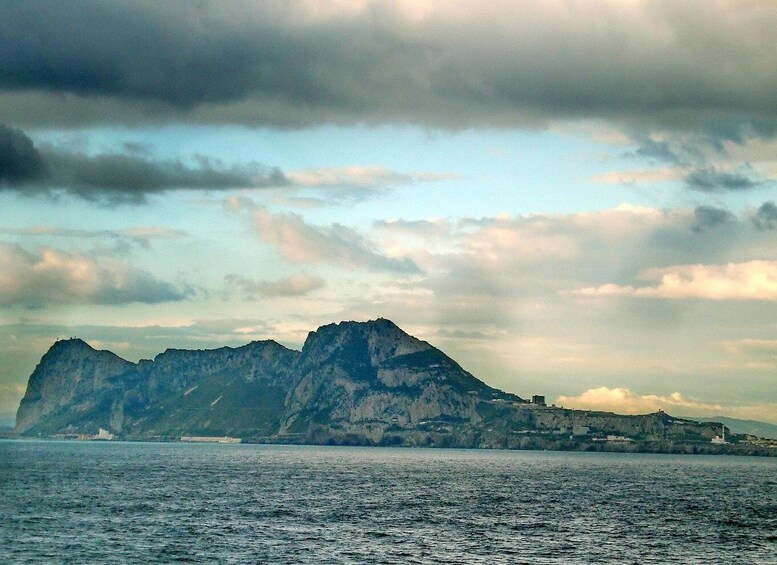 Picture 3 for Activity From Costa del Sol: Gibraltar Dolphin Watching by Boat