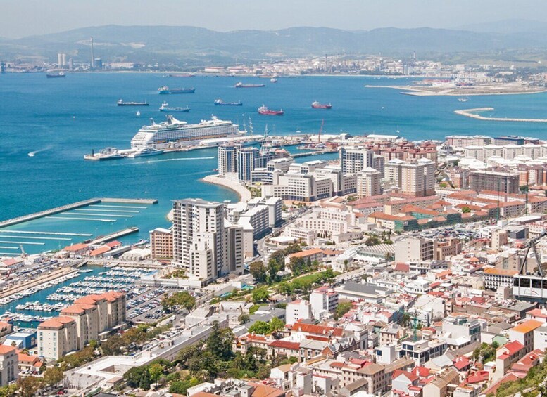 Picture 2 for Activity From Costa del Sol: Gibraltar Dolphin Watching by Boat