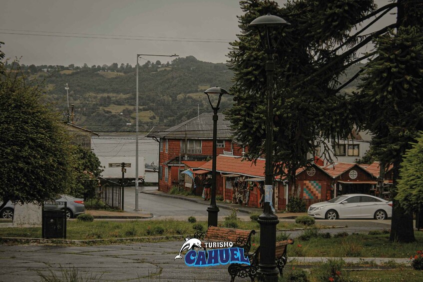 Picture 3 for Activity Inner Coast of Chiloé: Road and Sea.