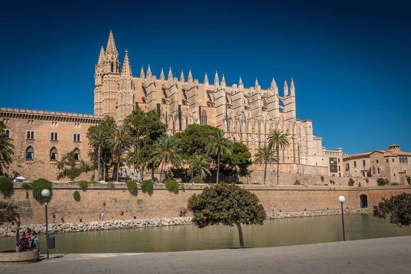 Picture 5 for Activity Private 4-hour tour of Palma de Mallorca (hotel/port pickup)