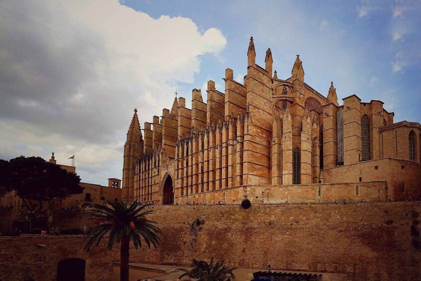 Private 4-hour tour of Palma de Mallorca (hotel/port pickup)