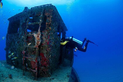 Scuba Diving in Khor Fakkan for Certified Divers