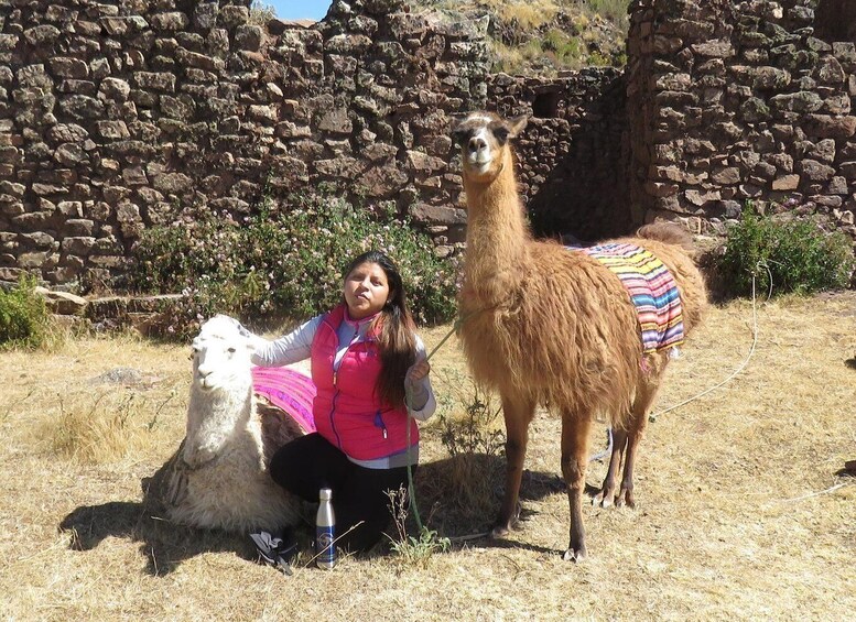 Picture 4 for Activity Private tour from Cusco | Llama Treking + Healing with Clay