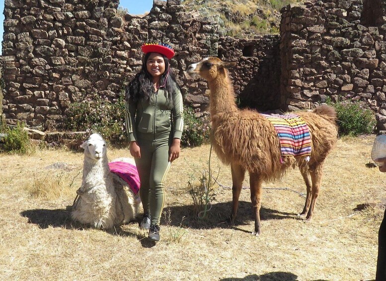 Picture 1 for Activity Private tour from Cusco | Llama Treking + Healing with Clay