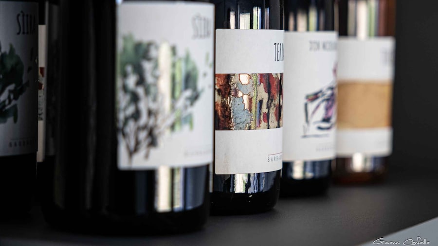 Walk among the rows of vineyards and wine tasting