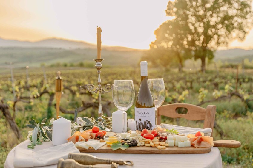 Intimate romantic vineyard set up with Wine Tasting