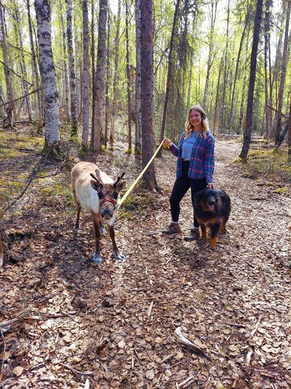 Talkeetna: A Walk in the Woods...with Reindeer!