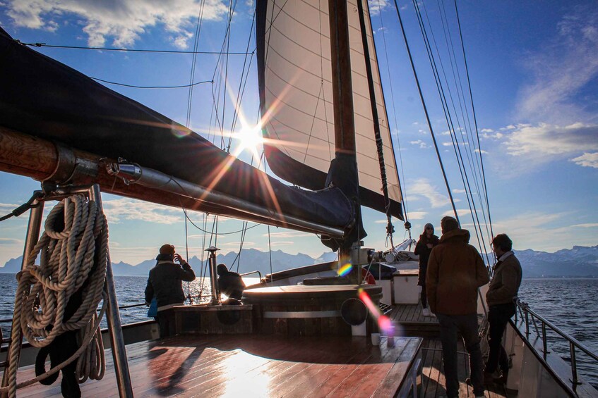 Picture 7 for Activity From Svolvær: Lofoten Islands Midnight Sun Luxury Sail