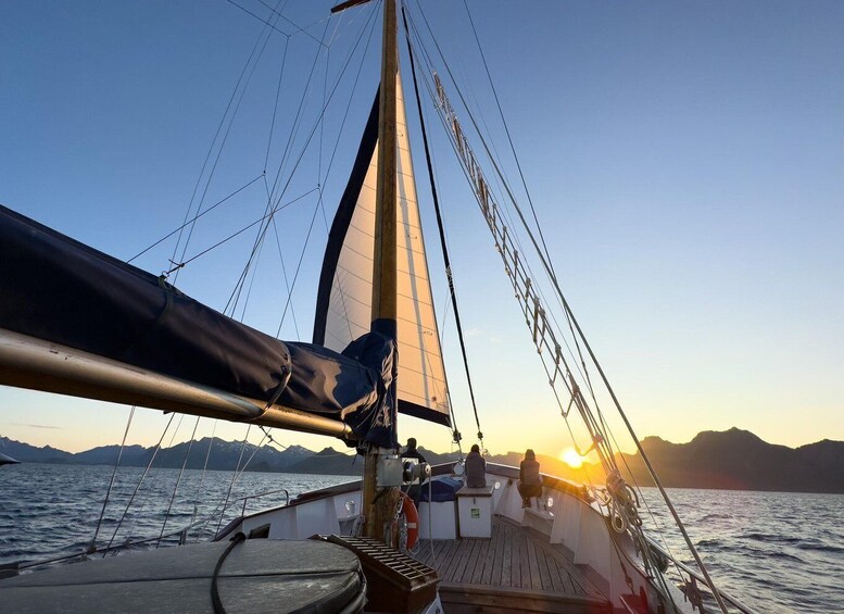 From Svolvær: Lofoten Islands Midnight Sun Luxury Sail