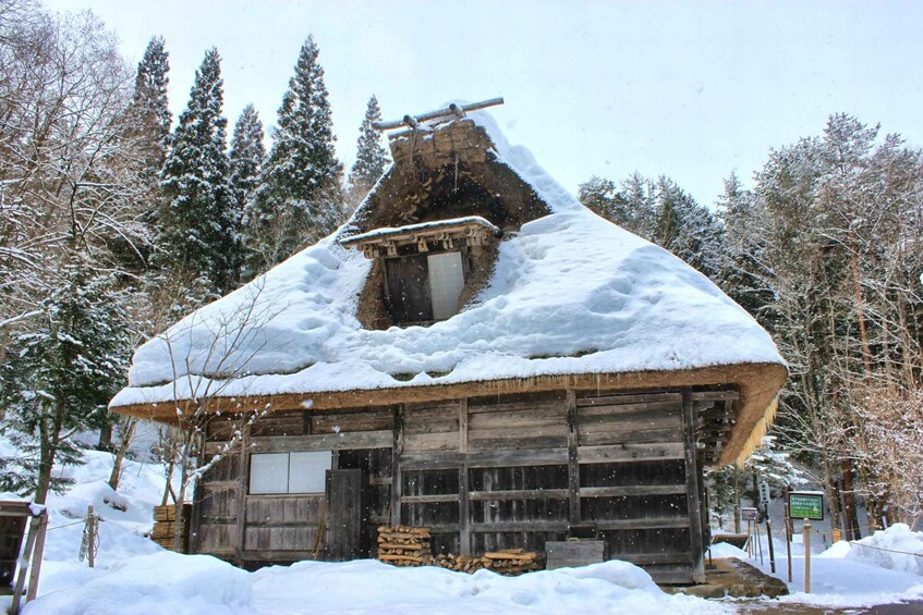 Picture 4 for Activity 1-Day Tour from Takayama: Hida Folk Village, Caves & Ropeway