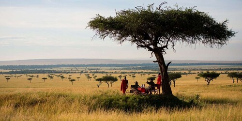 4 dager og 3 netter Maasai Mara ridesafari