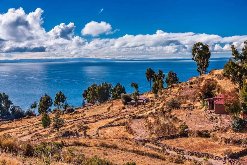 Picture 4 for Activity Two Day Tour of Lake Titicaca with homestay in Amantani