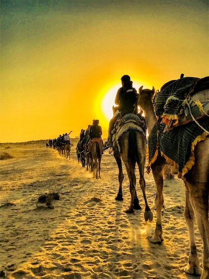 Picture 11 for Activity Jaisalmer: Private desert experience under the stars