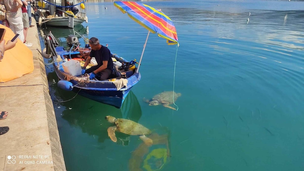 Picture 10 for Activity Kefalonia:Private Half-Day Sightseeing Tour& Shore Excursion