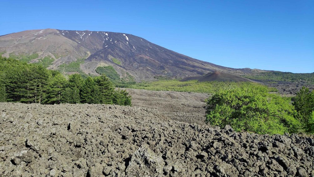 Picture 15 for Activity Mount Etna: All around on E-Bike