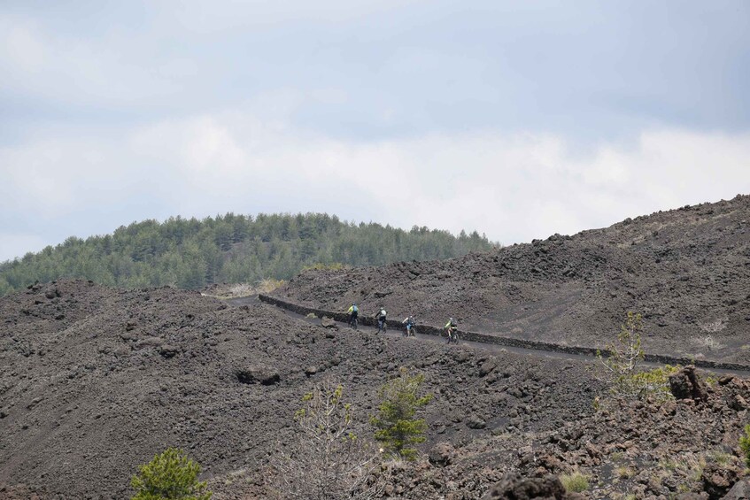 Picture 11 for Activity Mount Etna: All around on E-Bike