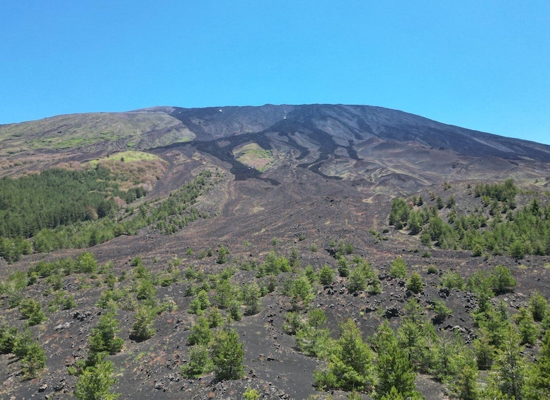 Picture 5 for Activity Mount Etna: All around on E-Bike