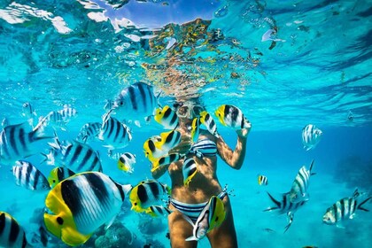 Santo Domingo Catamaran dengan Snorkeling, Bar Terbuka, dan Makan Siang