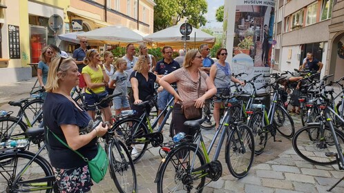 Vienna: City Highlights Guided Bike Tour