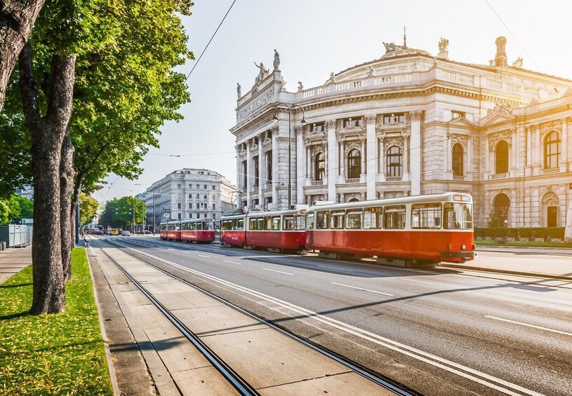 Picture 4 for Activity Vienna: City Highlights Guided Bike Tour