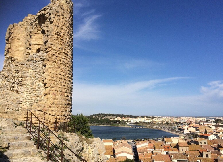 Narbonne, Gruissan & Lagrasse village . Day tour