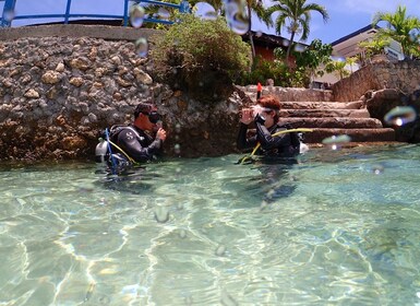 Cebu: Beach Scuba Diving Experience