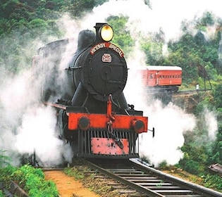 Au départ d'Ella : billet de train de première classe réservé pour Kandy