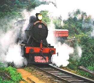 De Ella : Billet de train réservé de première classe à Kandy