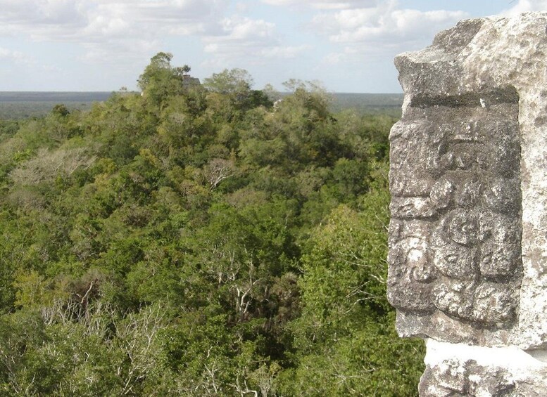 Picture 4 for Activity Calakmul: The Jewel in the Jungle