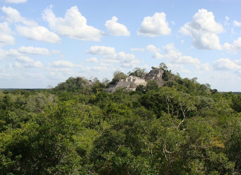 Picture 7 for Activity Calakmul: The Jewel in the Jungle