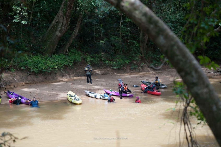 Picture 3 for Activity Sungai Berang Wildlife & Cultural Kayak Tour