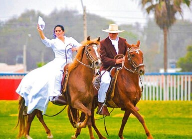 Desde Trujillo: día completo con espectáculo de caballos de paso y marinero...