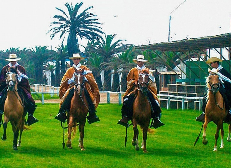 Picture 8 for Activity From Trujillo: full day with paso horses and sailor show