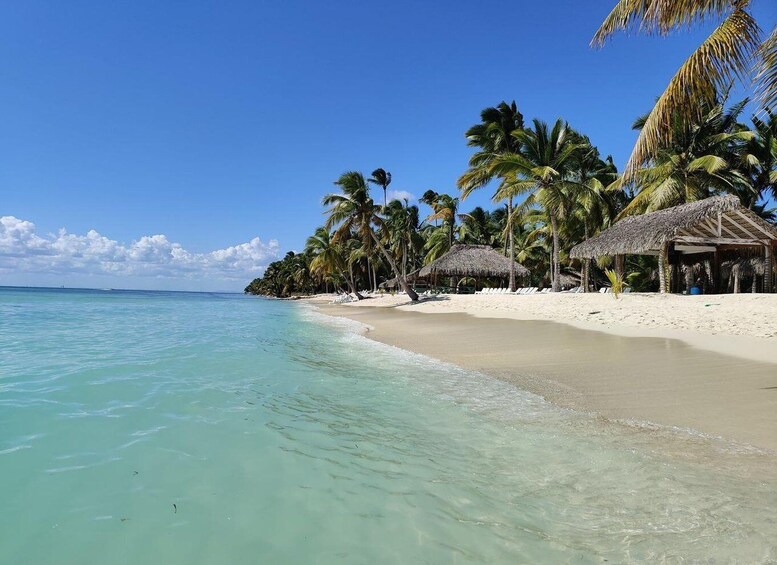 Picture 3 for Activity Santo Domingo: Saona Island Catamaran Tour with Lunch & Bar