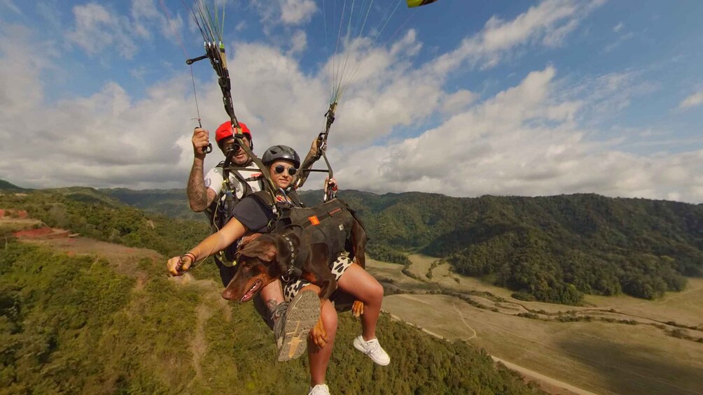 Picture 4 for Activity Jaco: Paragliding Flight family/ Pet-Friendly Option