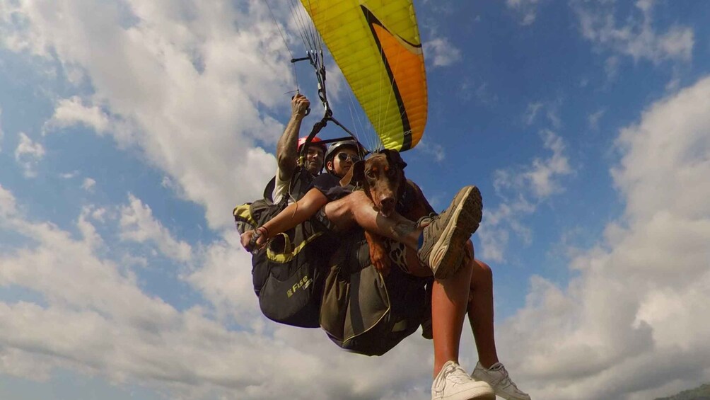 Picture 1 for Activity Jaco: Paragliding Flight family/ Pet-Friendly Option