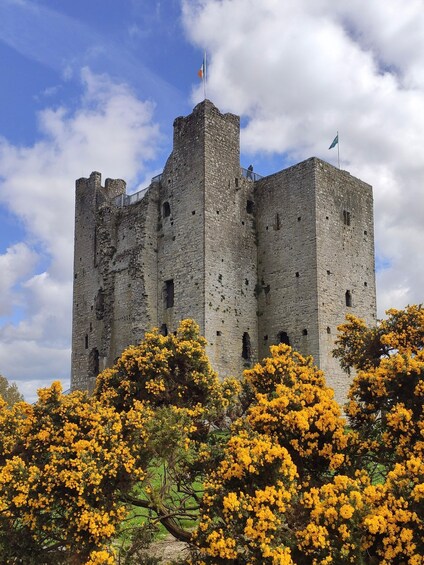 Picture 15 for Activity Day Tour: Hill of Tara Trim Castle Boyne Valley Celtic sites