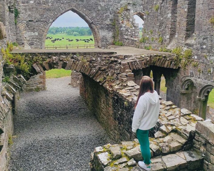 Picture 8 for Activity Day Tour: Hill of Tara Trim Castle Boyne Valley Celtic sites