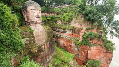 Chengdu: Private Round-Trip Transfer to Leshan Budda