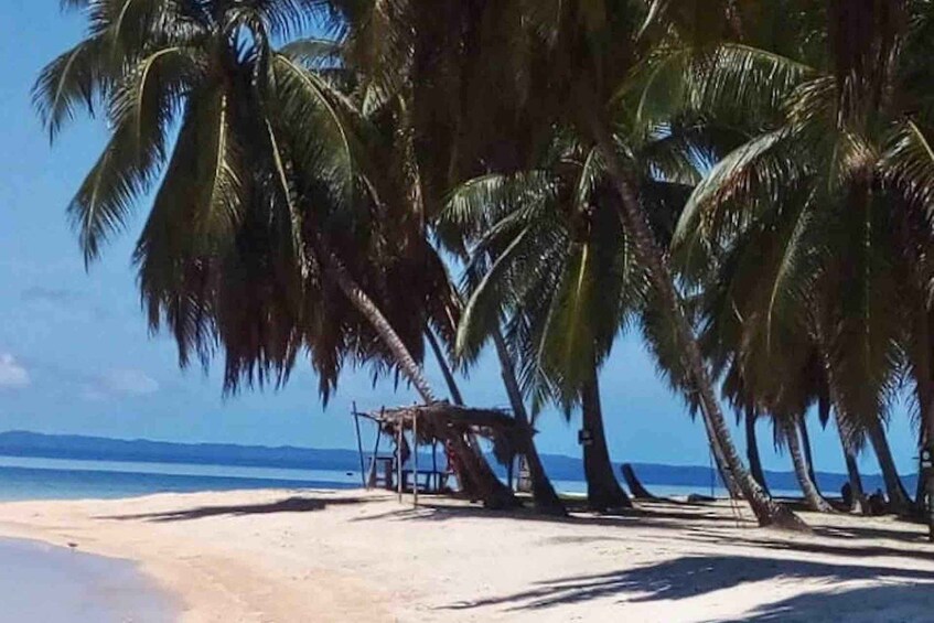 Picture 10 for Activity 2 Nights in San Blas - Shared Cabin + Meals + Boat Tour