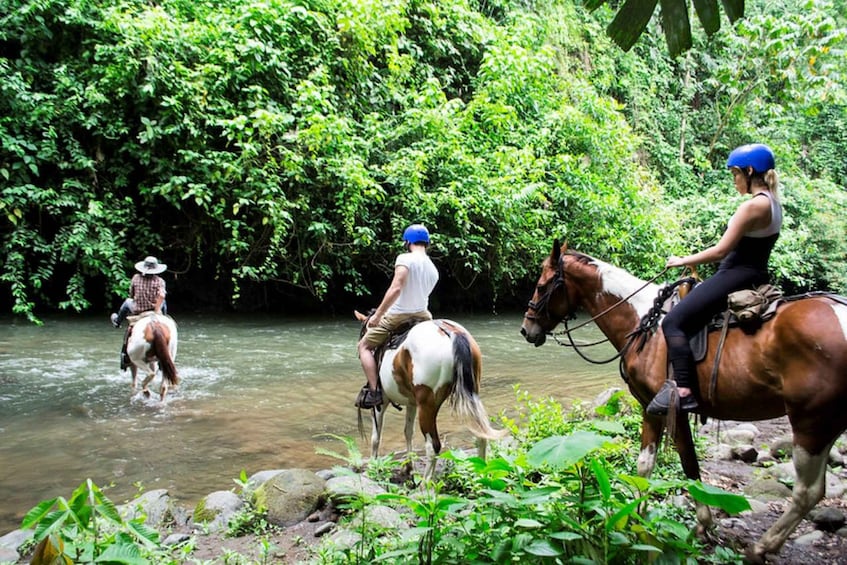 Picture 3 for Activity La Fortuna: Guided Horseback Riding Experience and Tour