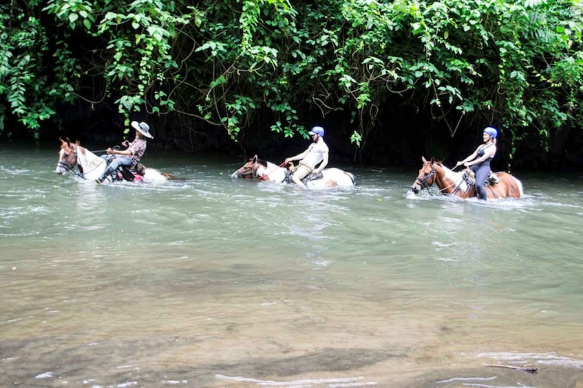 Picture 2 for Activity La Fortuna: Guided Horseback Riding Experience and Tour