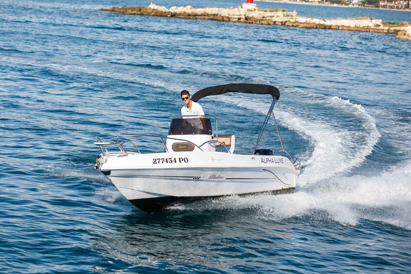 Picture 18 for Activity Private Family Dolphin Tour in Poreč