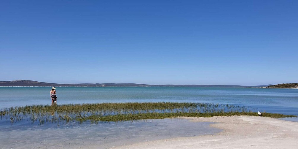 West Coast National Park. Private Tour.