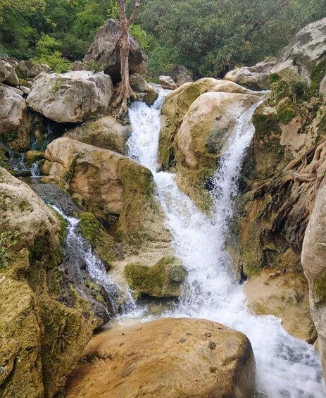 Picture 10 for Activity Salalah: Half-Day Guided Tour to Wadi Darbat & Mount Samhan