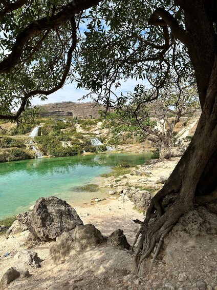 Picture 1 for Activity Salalah: Half-Day Guided Tour to Wadi Darbat & Mount Samhan