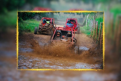 Bayahibe: Buggy tour amazing half-day