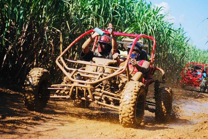 Picture 1 for Activity Bayahibe: Buggy tour amazing half-day