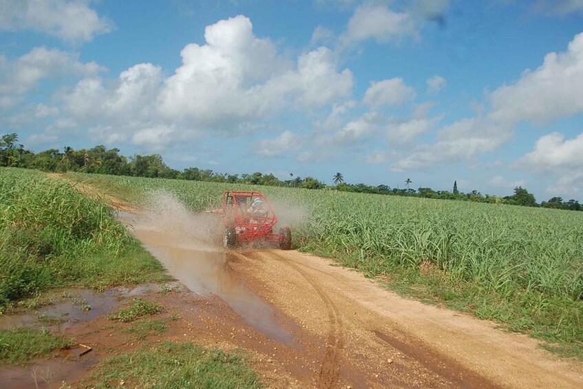 Picture 21 for Activity Bayahibe: Buggy tour amazing half-day