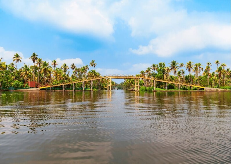 Picture 6 for Activity Day Trip to Alleppey with backwater Experiences